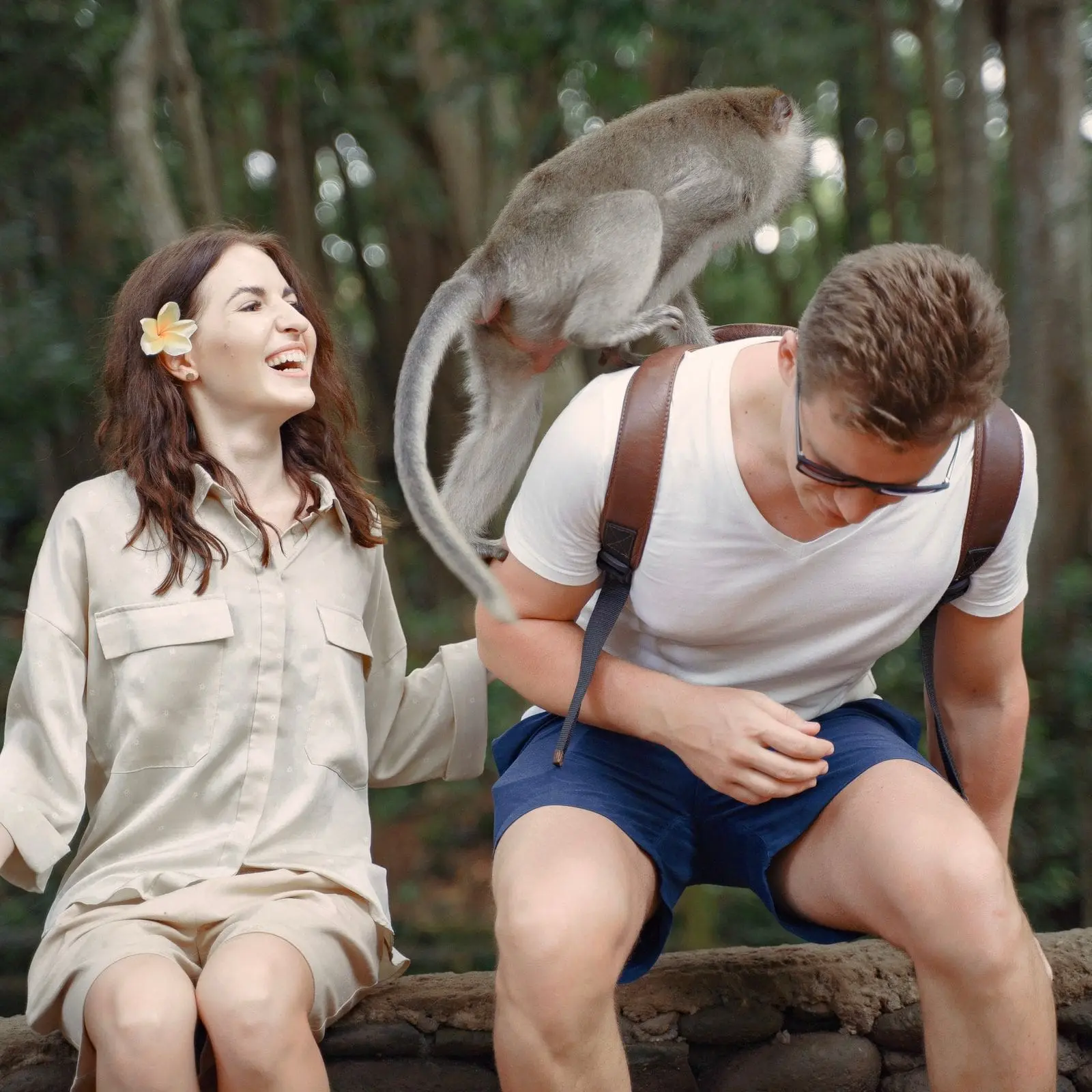 IMG-20241013-WA0047-1