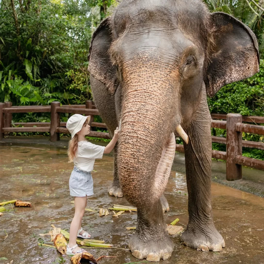 IMG-20241013-WA0053-1