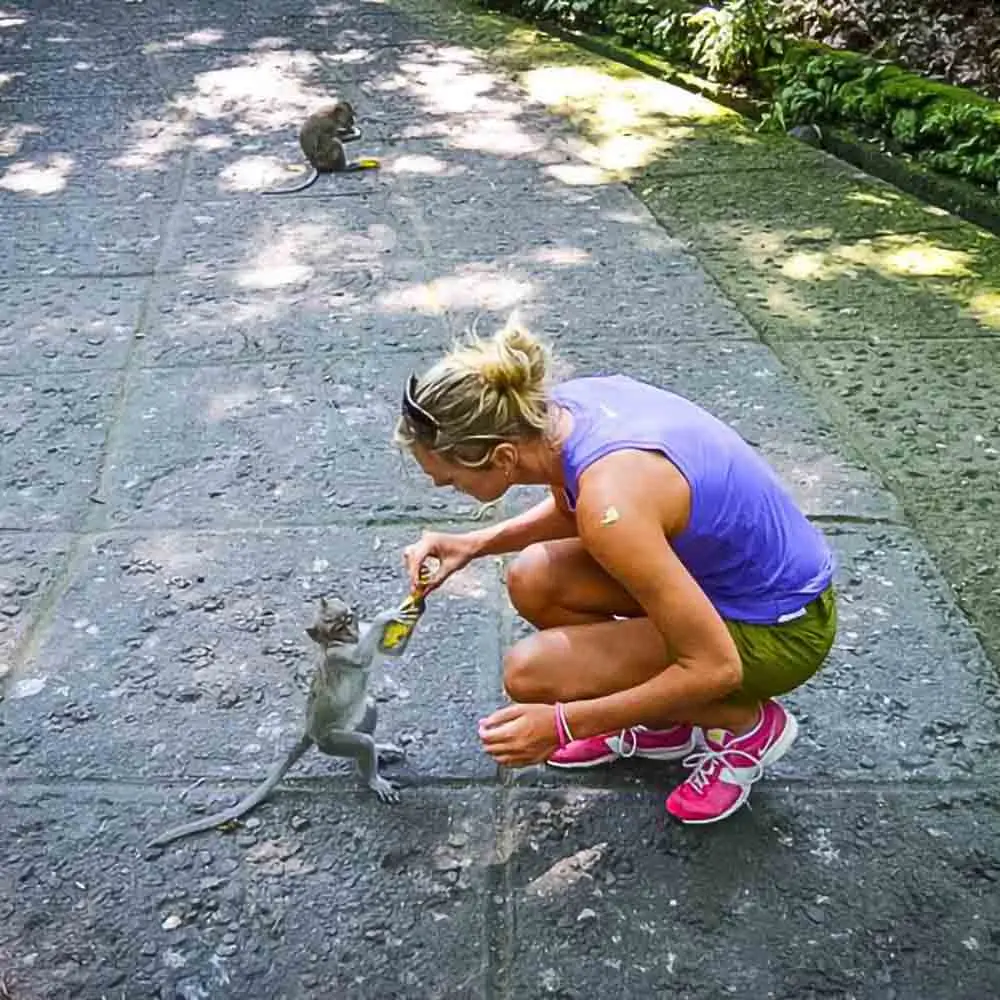 Ubud-Monkey_Forest-04-800x530-1