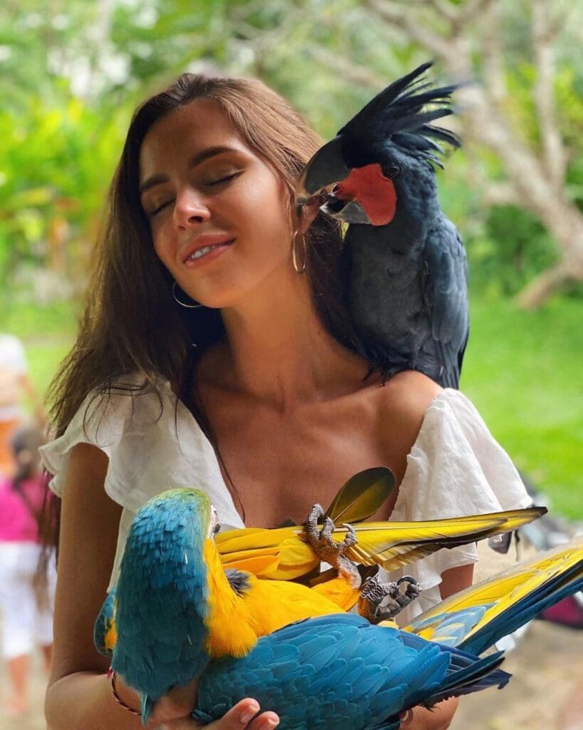 BALI BIRD PARK & REPTILE PARK