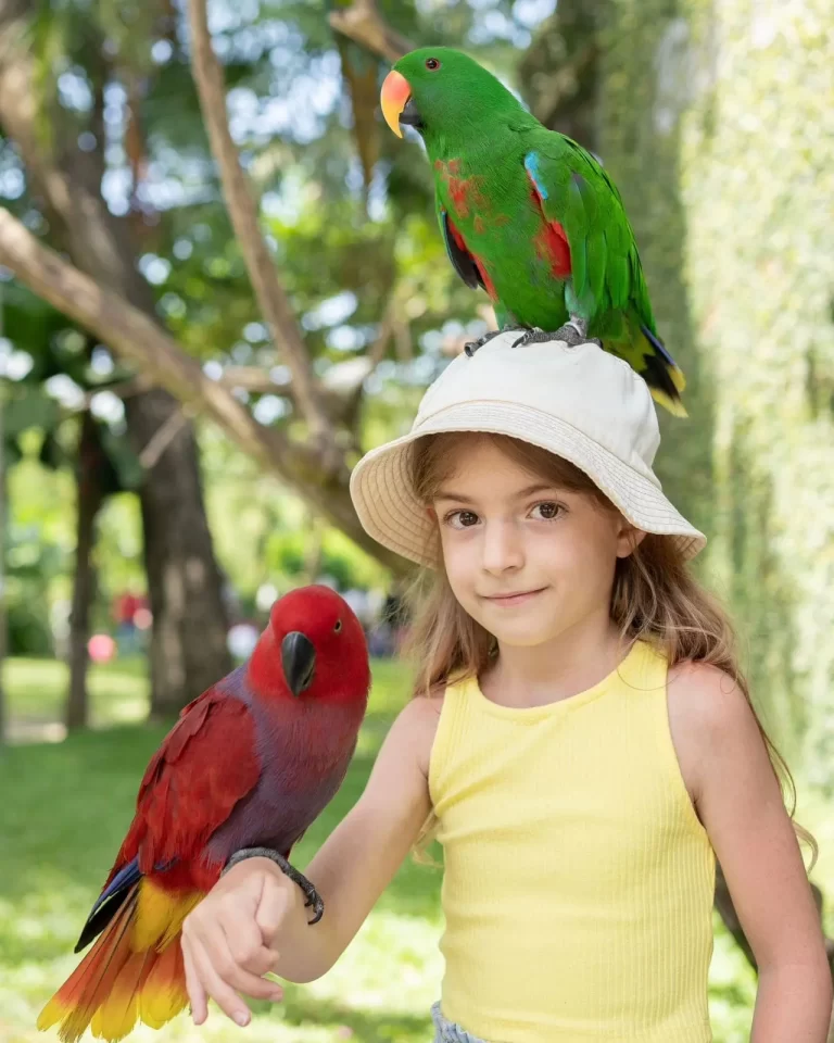 WhatsApp-Image-2024-10-12-at-13.57.27_60b0ed78