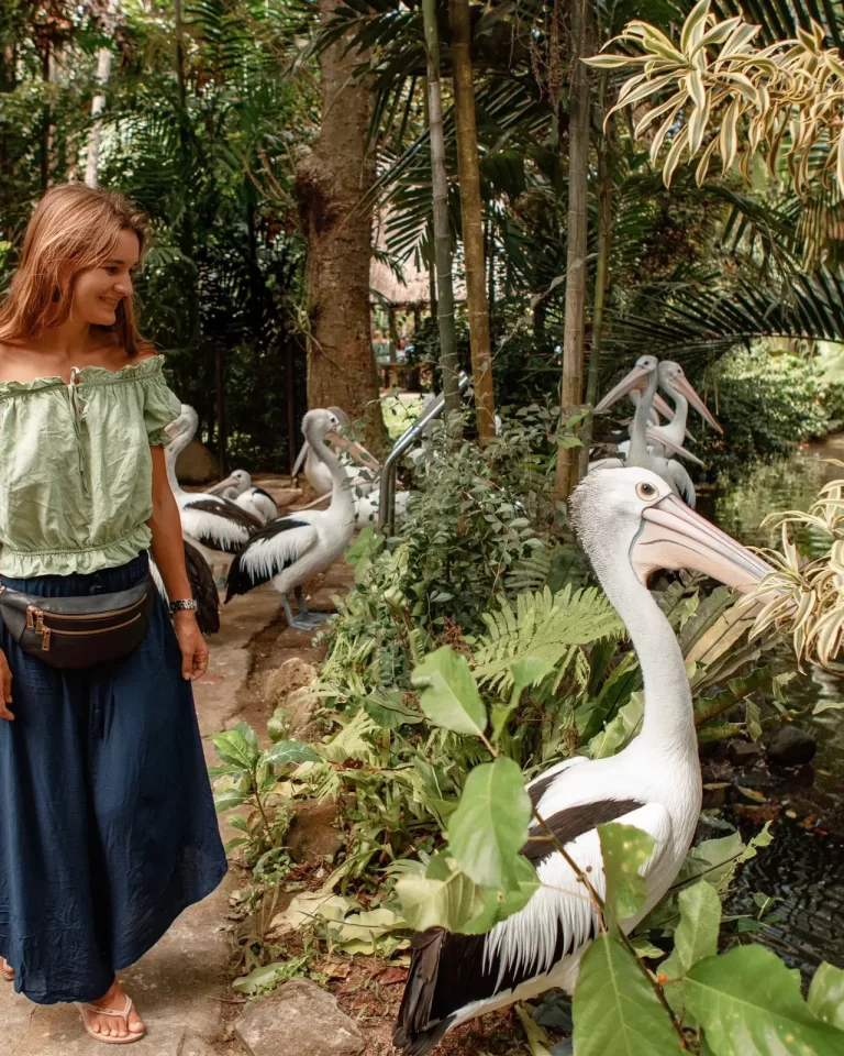 WhatsApp-Image-2024-10-12-at-13.57.30_0675122b