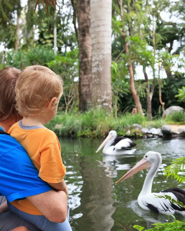 WhatsApp-Image-2024-10-12-at-13.57.31_59ce8c1a