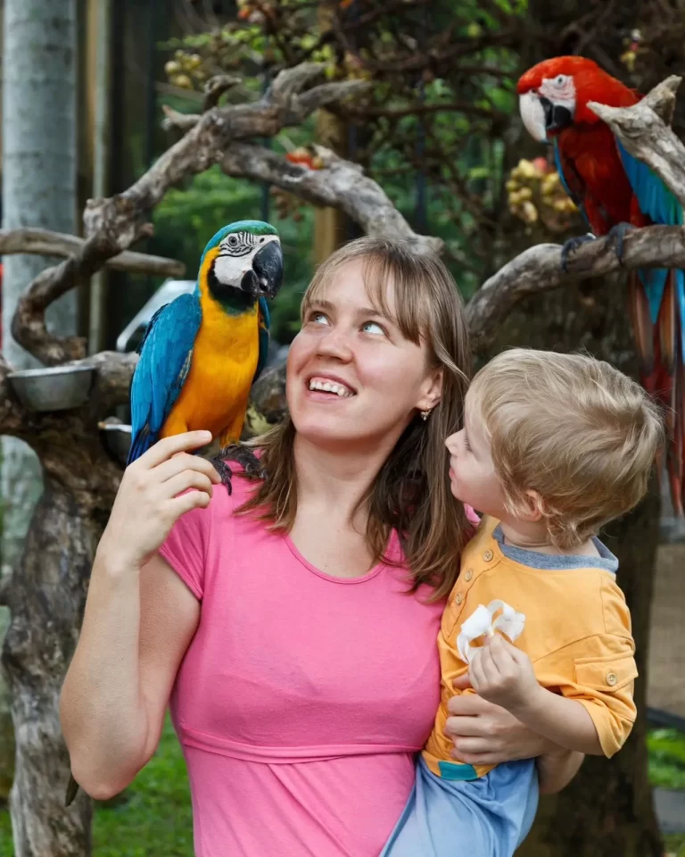 WhatsApp-Image-2024-10-12-at-13.57.31_db9f70dc