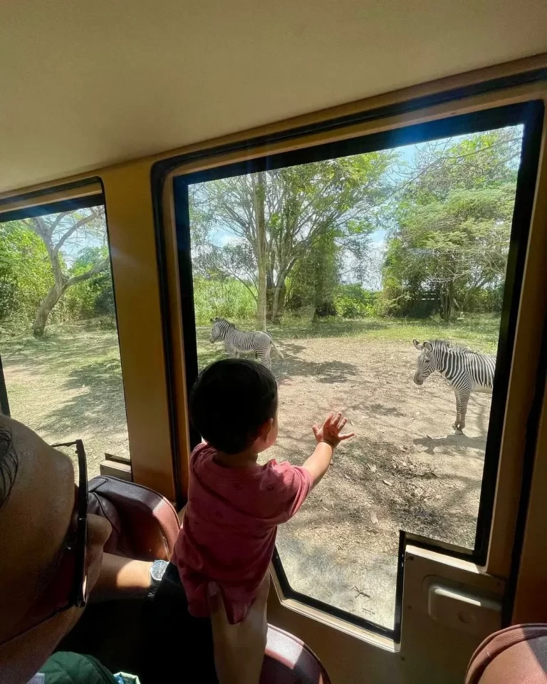 WhatsApp-Image-2024-10-12-at-13.30.39_2440e287