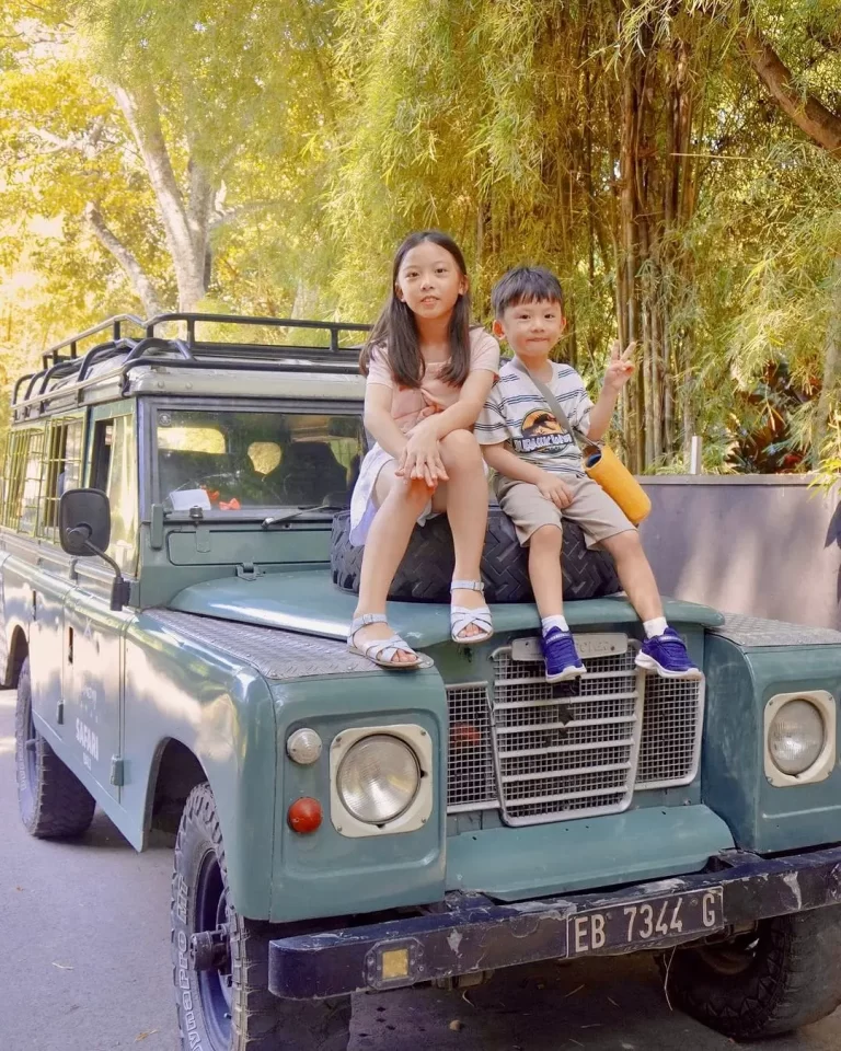 WhatsApp-Image-2024-10-12-at-13.30.39_346265f5