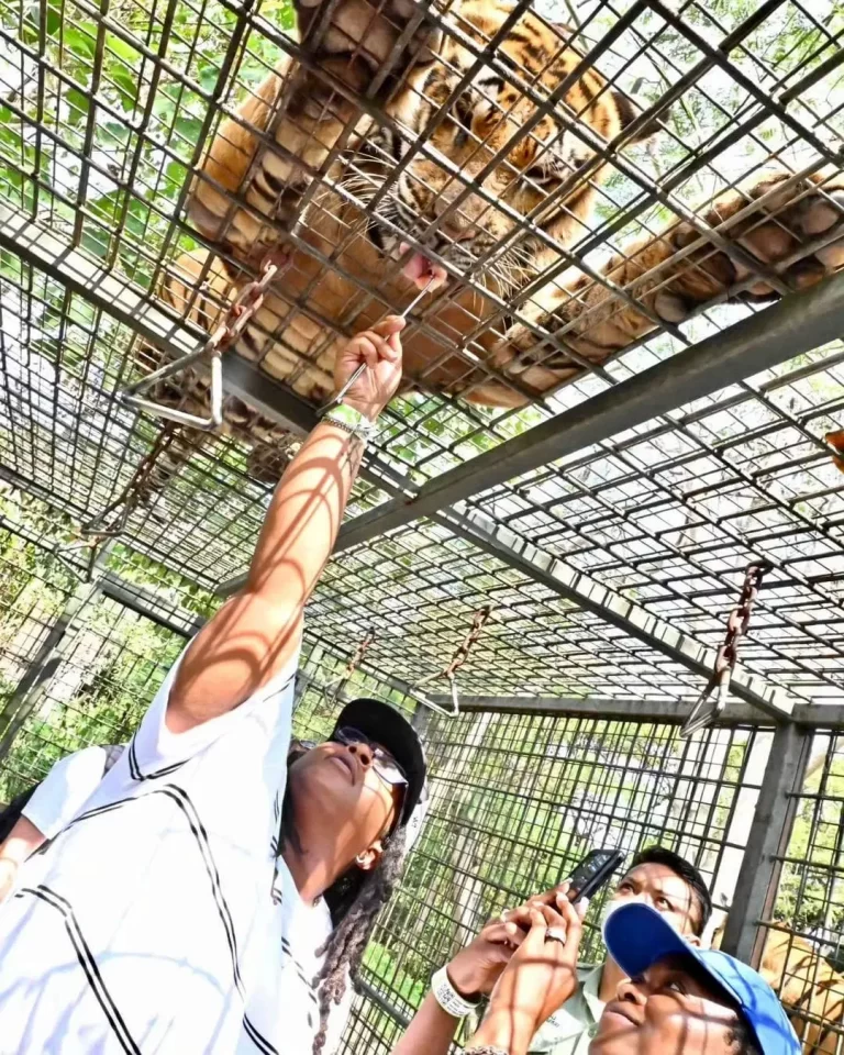 WhatsApp-Image-2024-10-12-at-13.30.40_009111ad