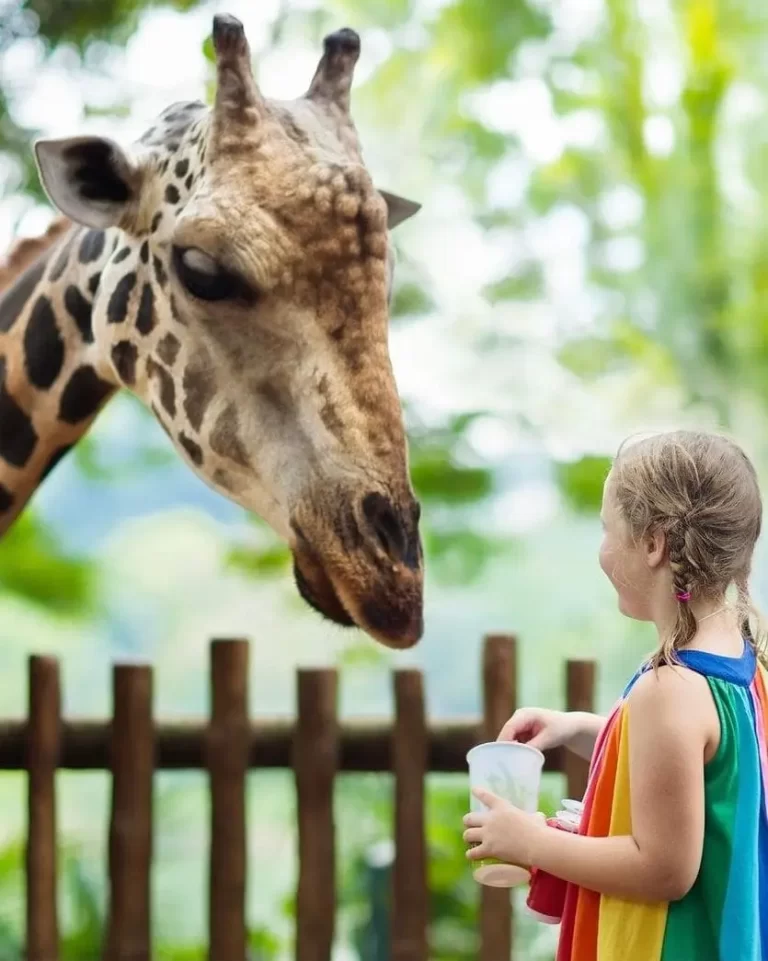 WhatsApp-Image-2024-10-12-at-13.30.40_d42cf948