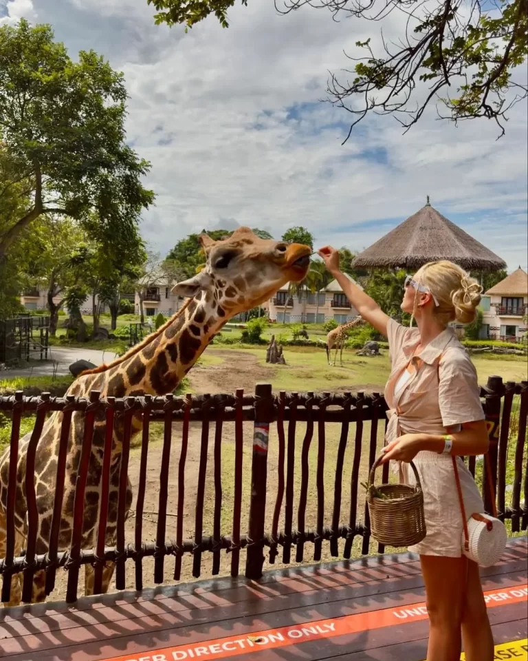 WhatsApp-Image-2024-10-12-at-13.45.59_eb8df21e (1)