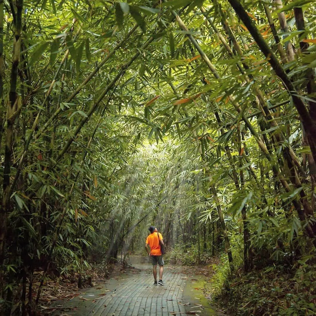 WhatsApp Image 2025-09-23 at 12.08.39_d73d1ffc