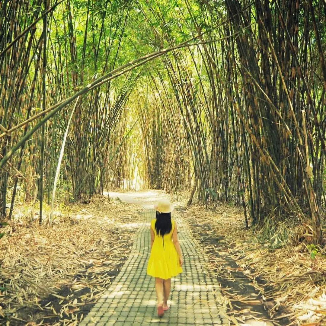 WhatsApp Image 2025-09-23 at 12.08.40_3492fbab