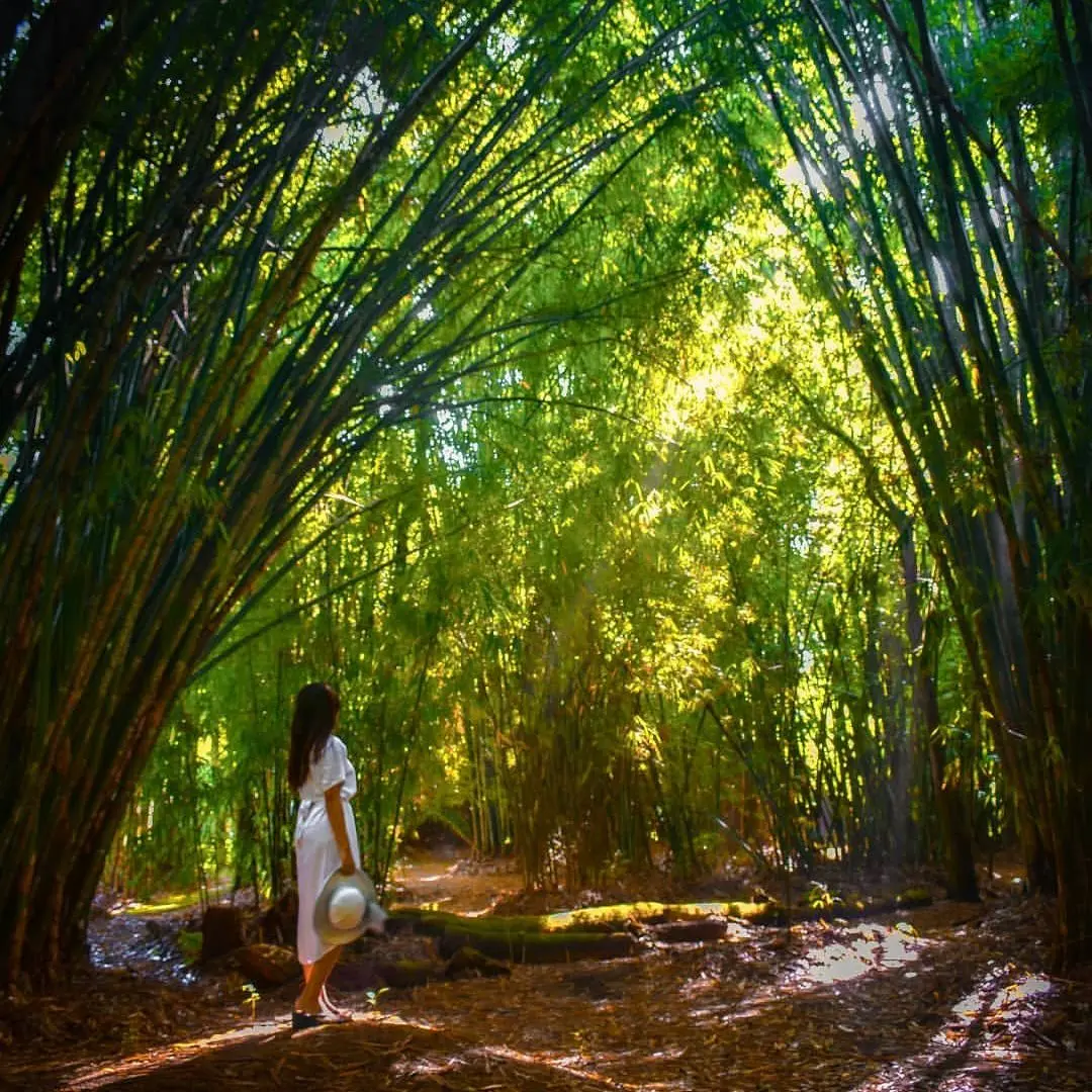 WhatsApp Image 2025-09-23 at 12.08.40_67c60c98