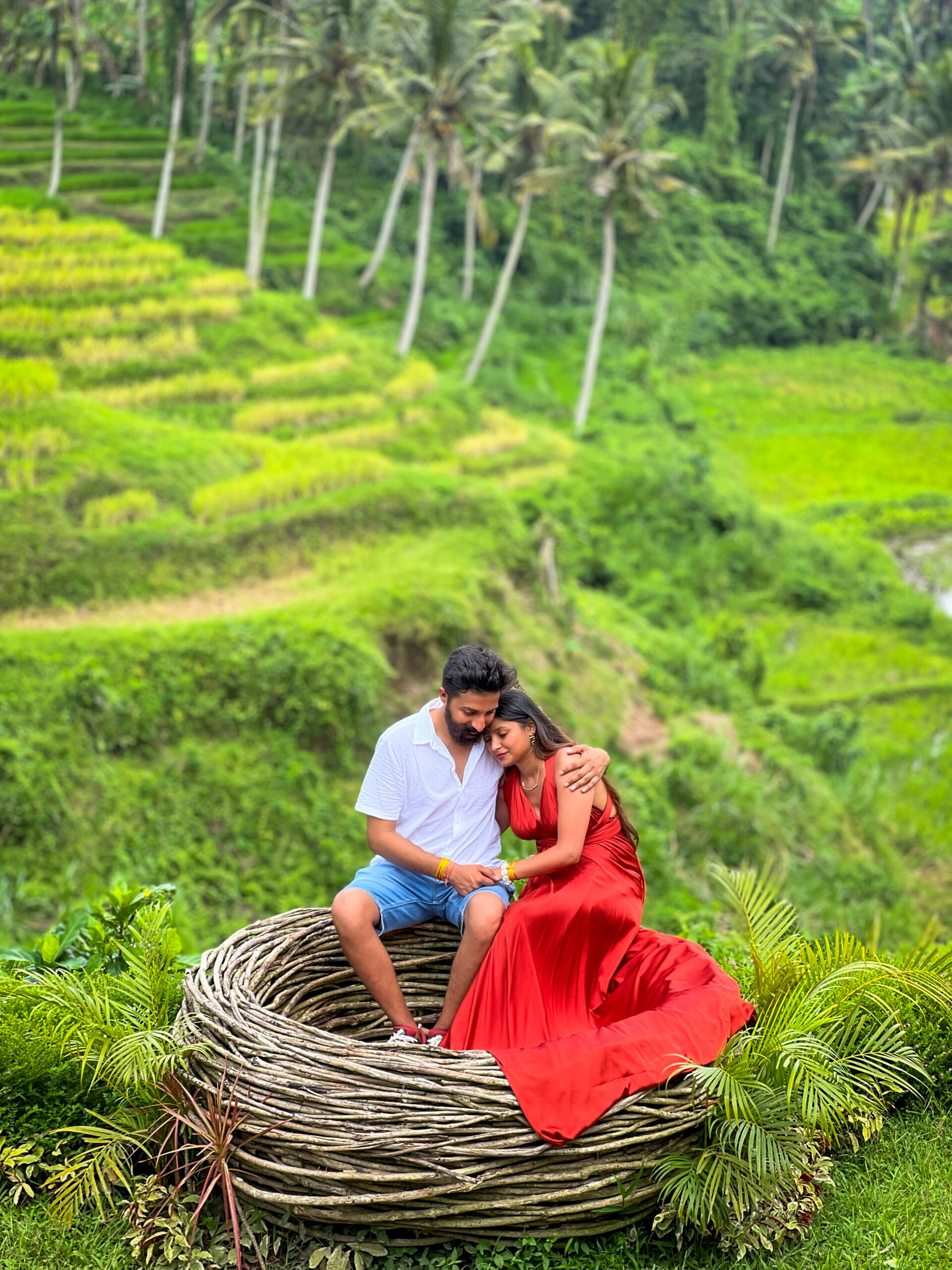 Panoramic Nest_ Cherish the Moment